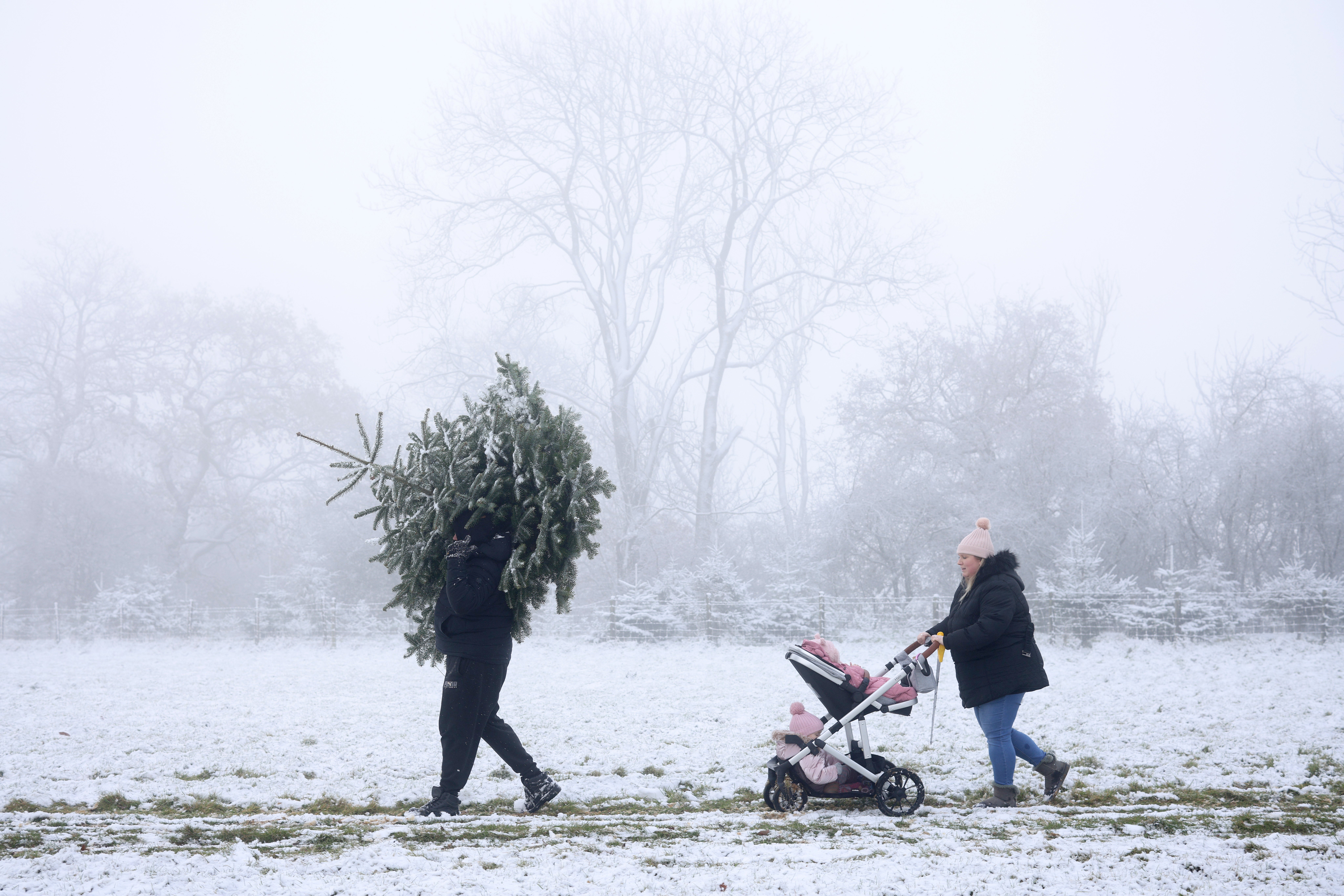 A family braves the snow to bring home the Christmas tree
