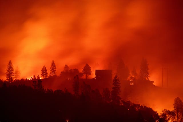 <p>The ‘camp fire’ of 2018 was the deadliest and most destructive wildfire in California’s history</p>