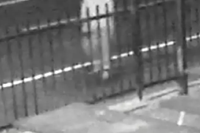<p>Surveillance video showing suspect </p>