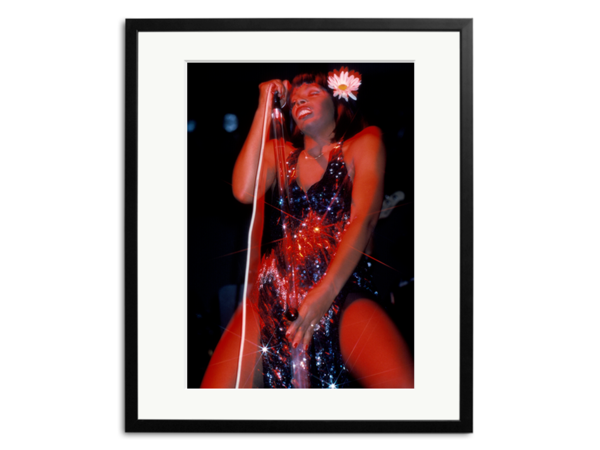 Sonic Editions the colours of Donna Summer print