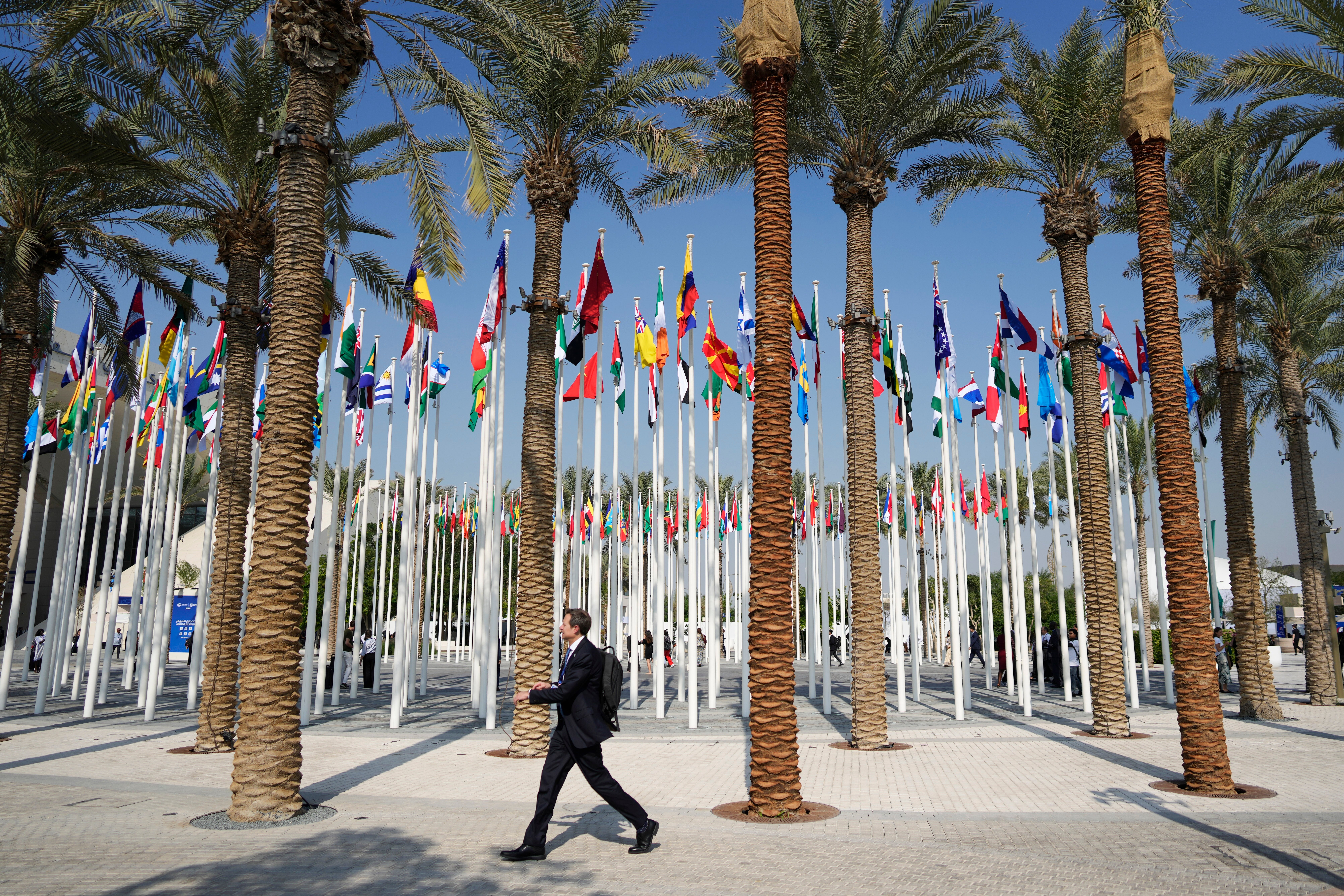COP28 Climate Summit