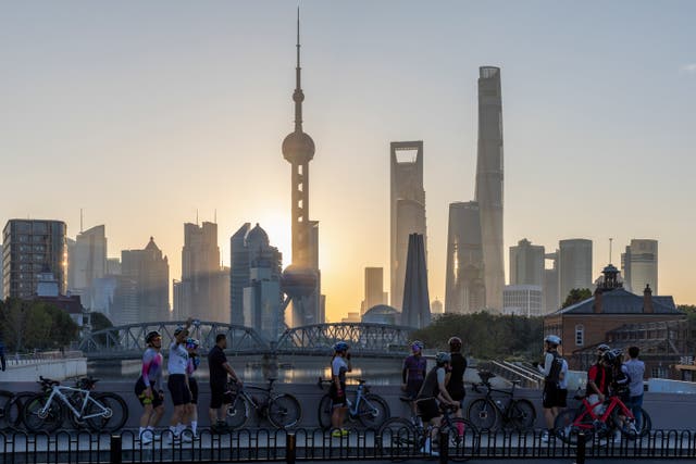 <p>The Shanghai skyline</p>