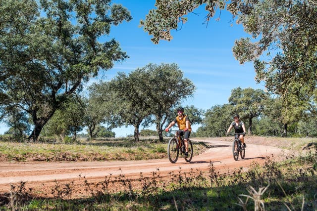 <p>Whether you’re looking for a gentle journey or a challenging route, Algarve is made for cycling </p>
