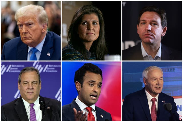 <p>The remaining 2024 Republican candidates (from top left: Donald Trump, Nikki Haley, Ron DeSantis, Chris Christie, Vivek Ramaswamy, Asa Hutchinson)</p>