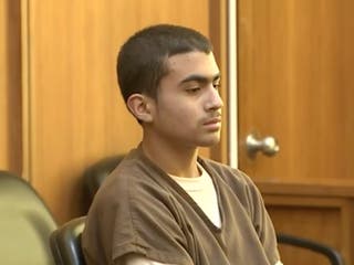 Florida teen who stabbed his mother to death when he was 13 is jailed ...