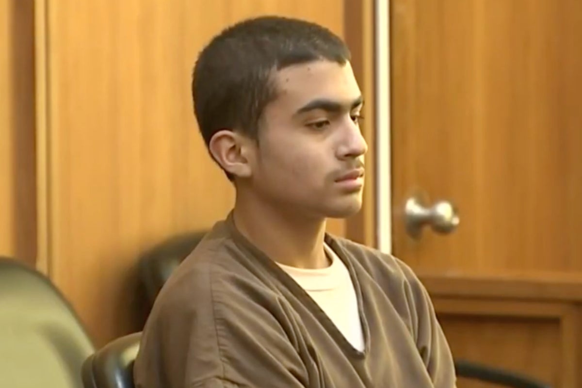 Florida teen who stabbed his mother to death when he was 13 is jailed after abruptly admitting the murder: ‘I’m sorry’