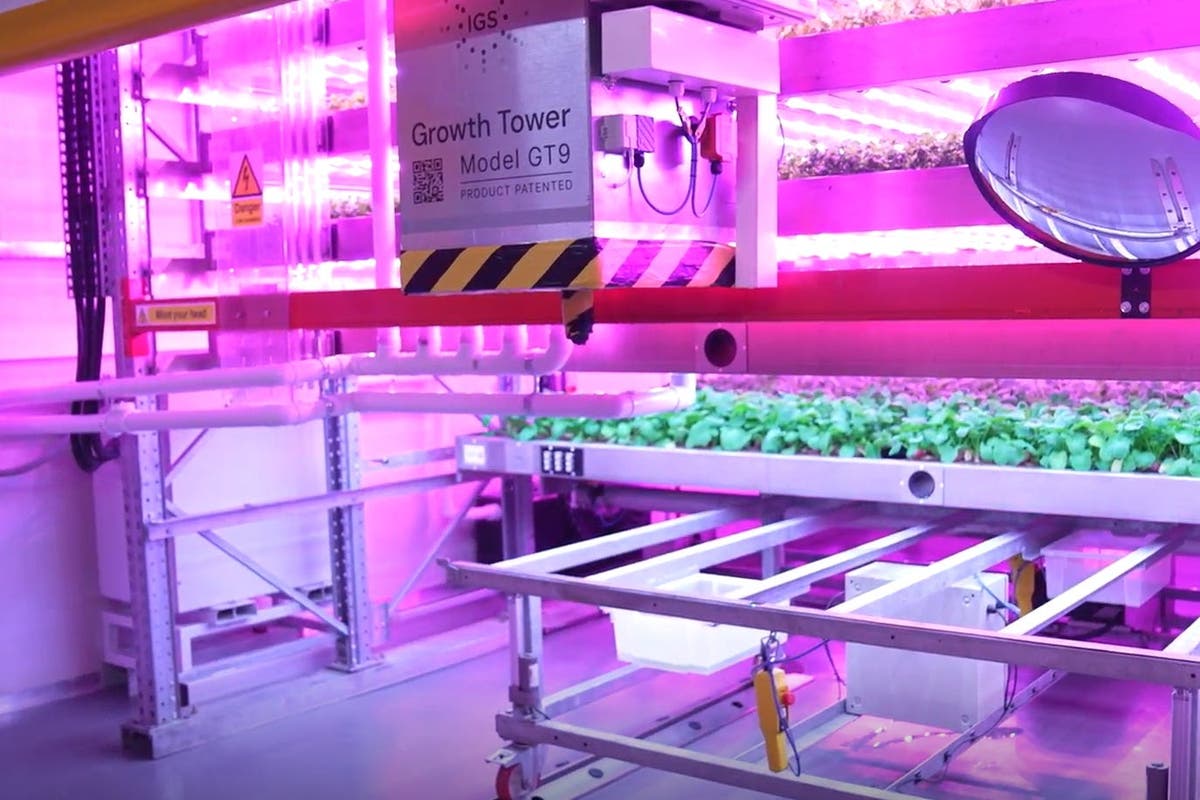 vertical-farm-unveiled-to-grow-crops-and-reduce-water-use-in-extreme