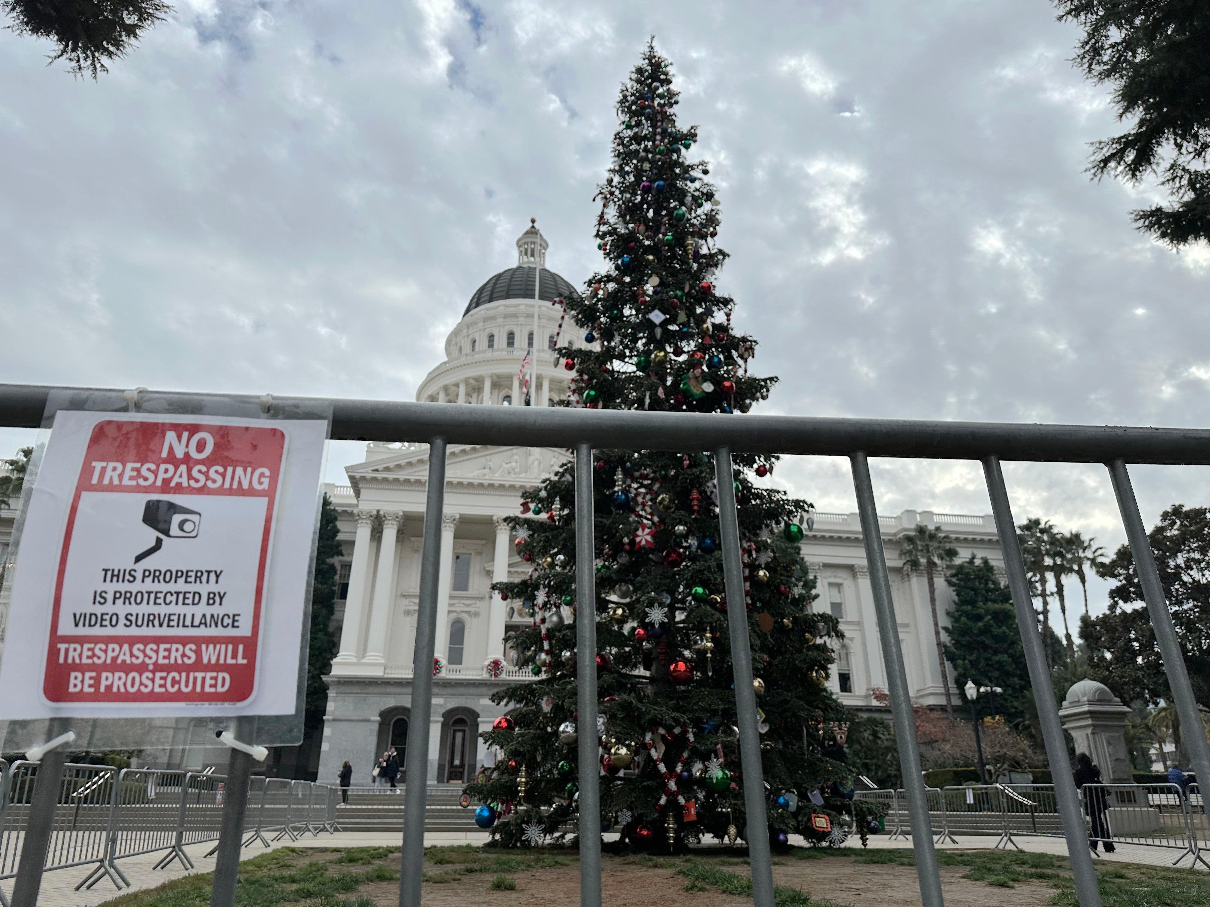 Gaza protests prompt California governor to hold virtual Christmas tree-lighting ceremony - Vimarsana News