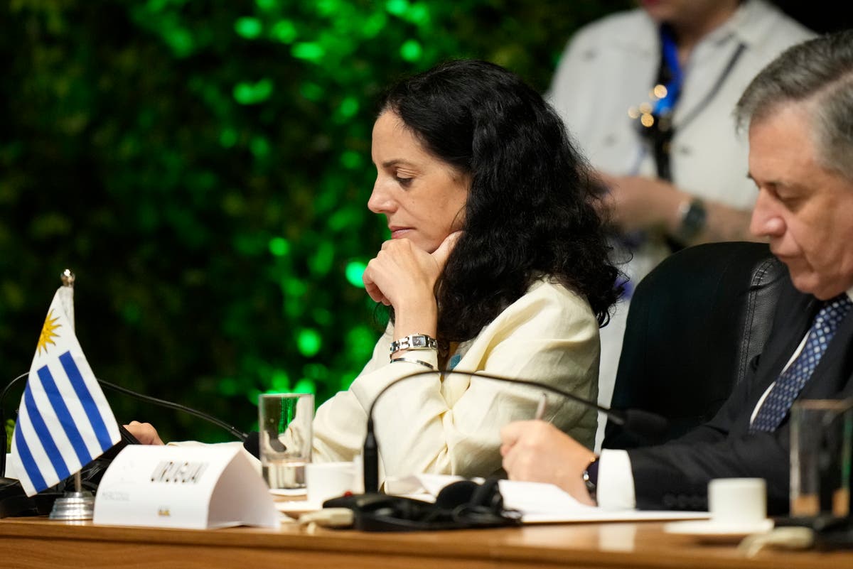 Надеждите за търговско споразумение между Меркосур и ЕС отново избледняват, докато лидерите се срещат в Бразилия