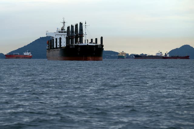 <p>Cargo ships wait at the entrance of the Panama Canal at Panama Bay off Panama City</p>