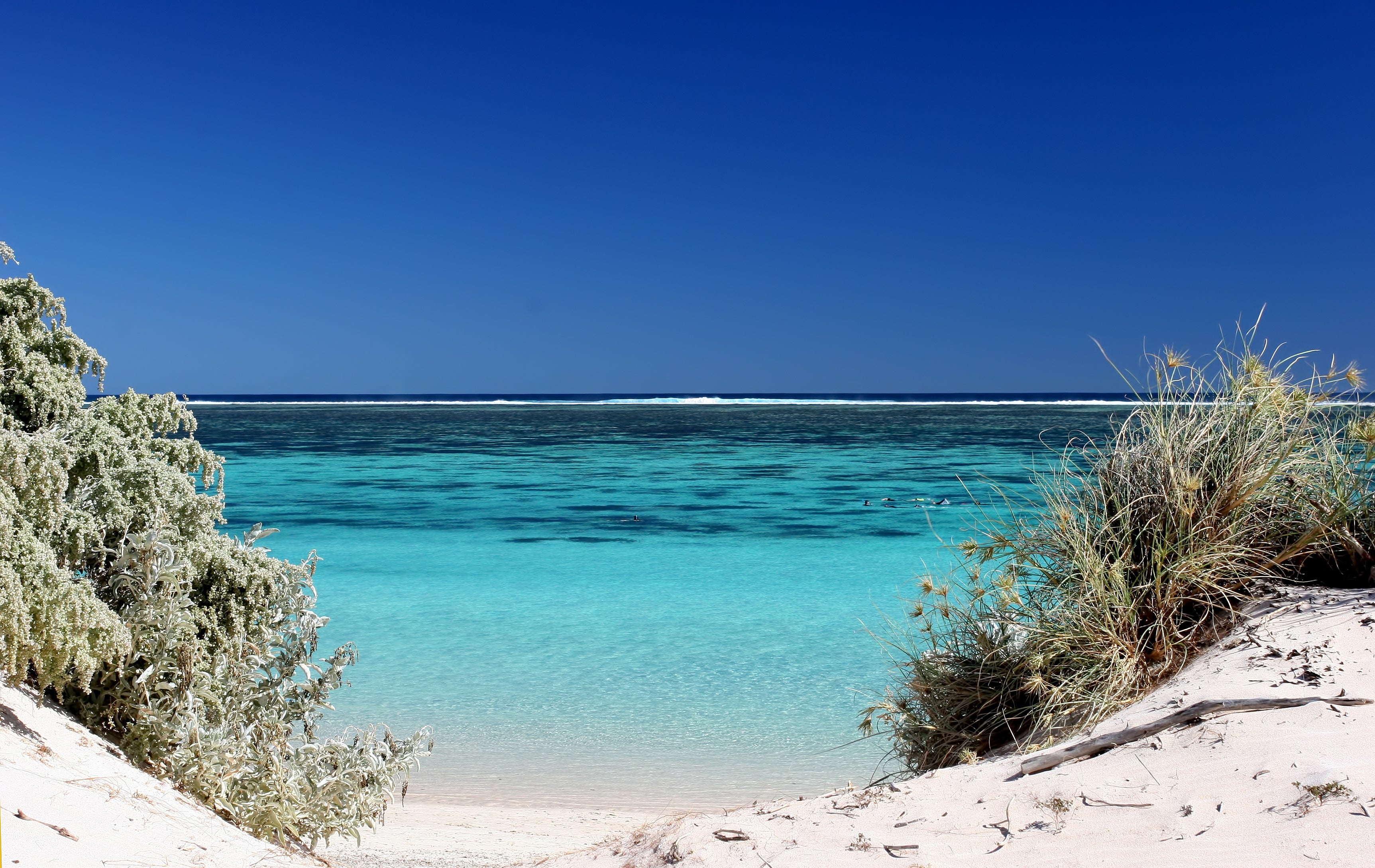 Ningaloo is great snorkelling territory