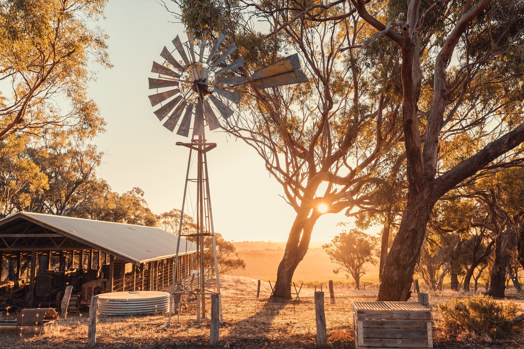 Abrace a Austrália autêntica explorando o Santuário de Vida Selvagem Arkaroola e o Parque Nacional Ikara-Flinders Ranges