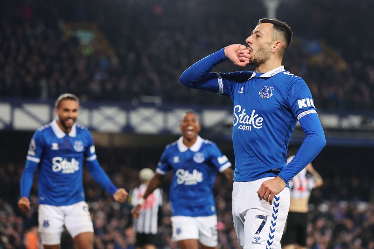 Everton vs Newcastle LIVE: Premier League result and final score as Toffees  escape relegation zone | The Independent
