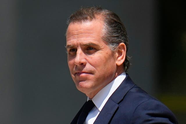 <p>Hunter Biden is facing a total of 12 criminal charges  </p>