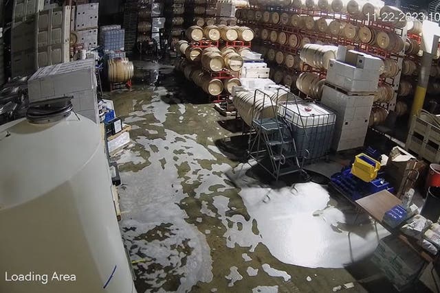 <p>Intruder floods winery cellar with 5,000 gallons of wine.</p>