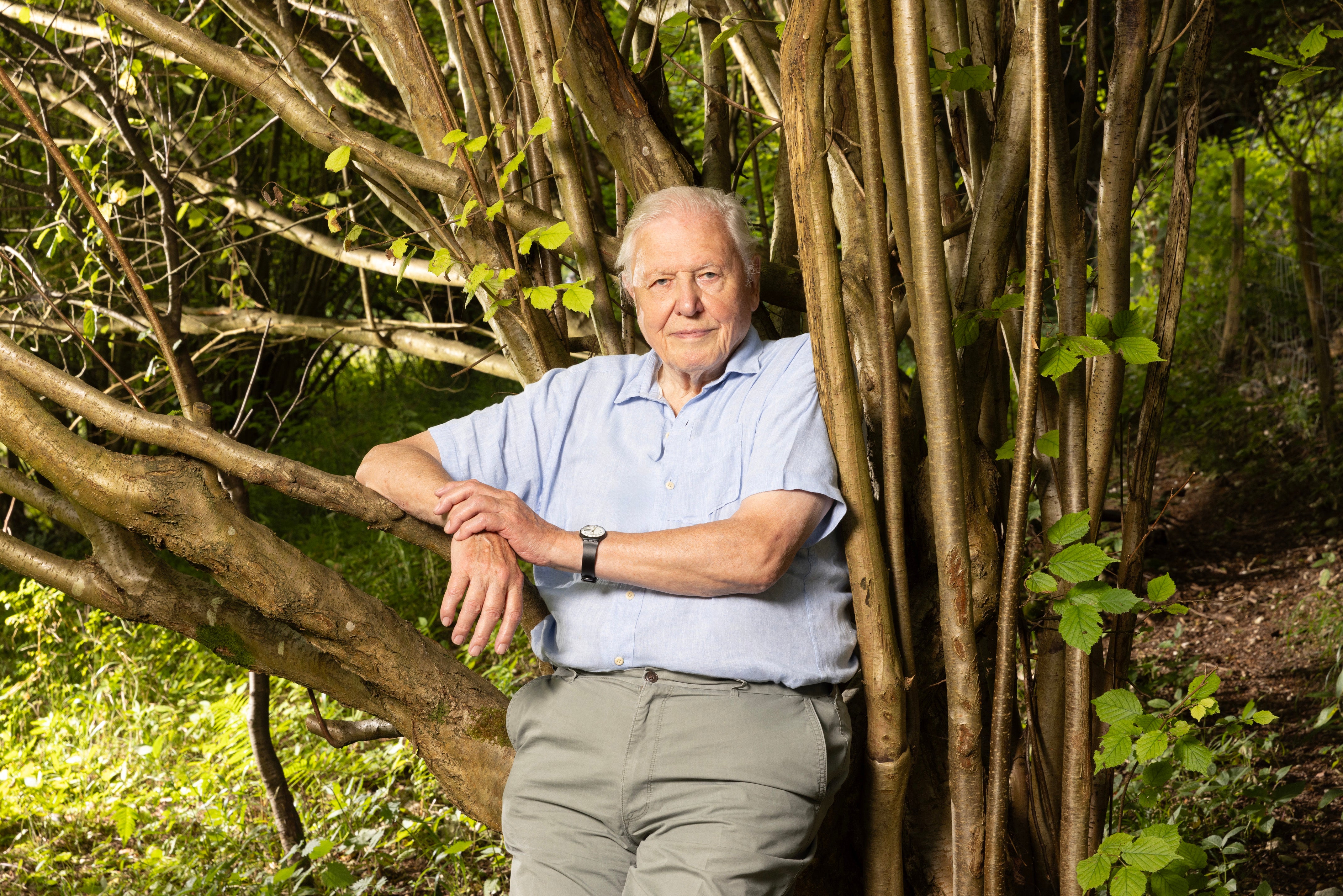 Attenborough during the filming of ‘Planet Earth III’