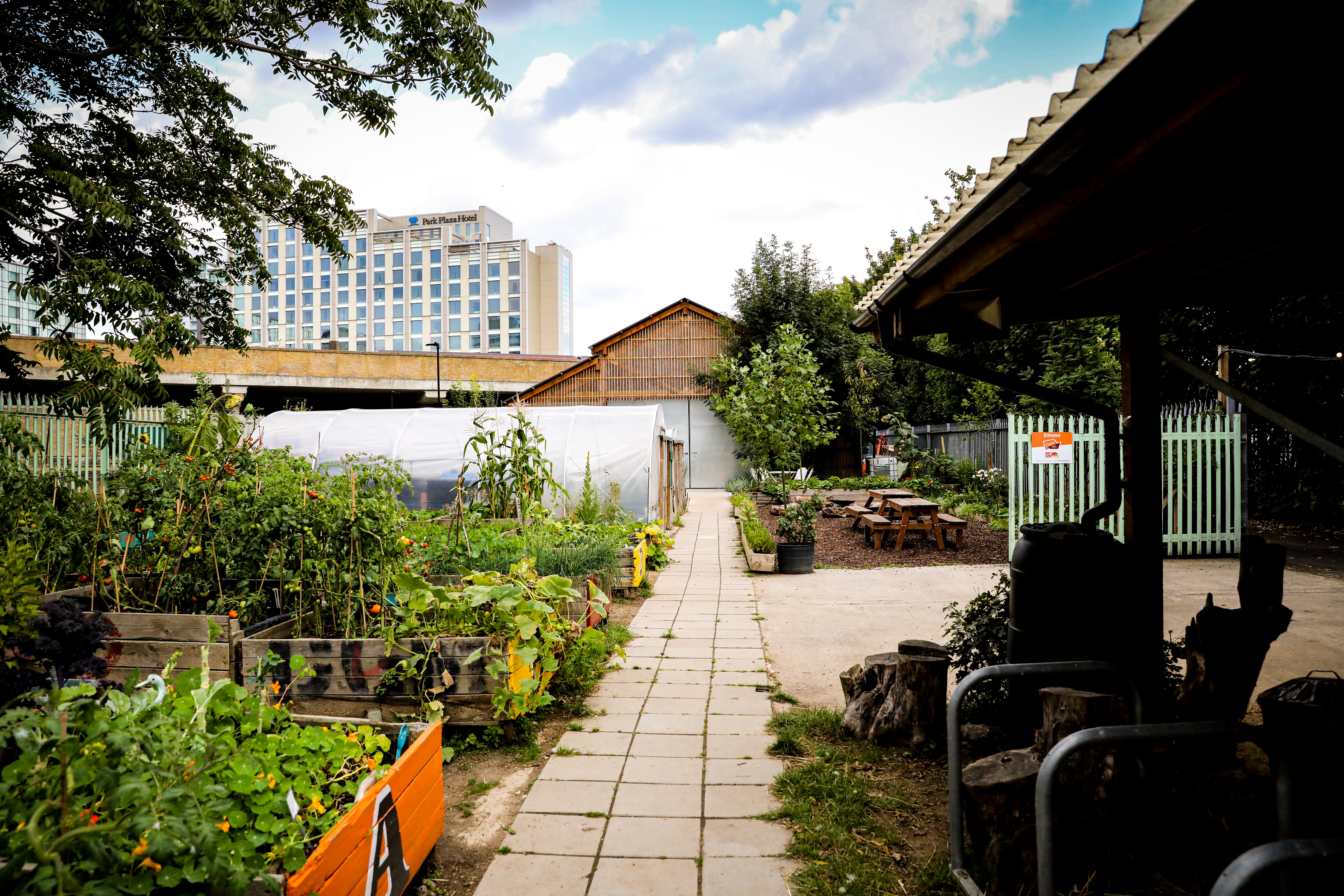 The farm grows a variety of fruit and vegetables, including carrots, tomatoes, berries and courgettes