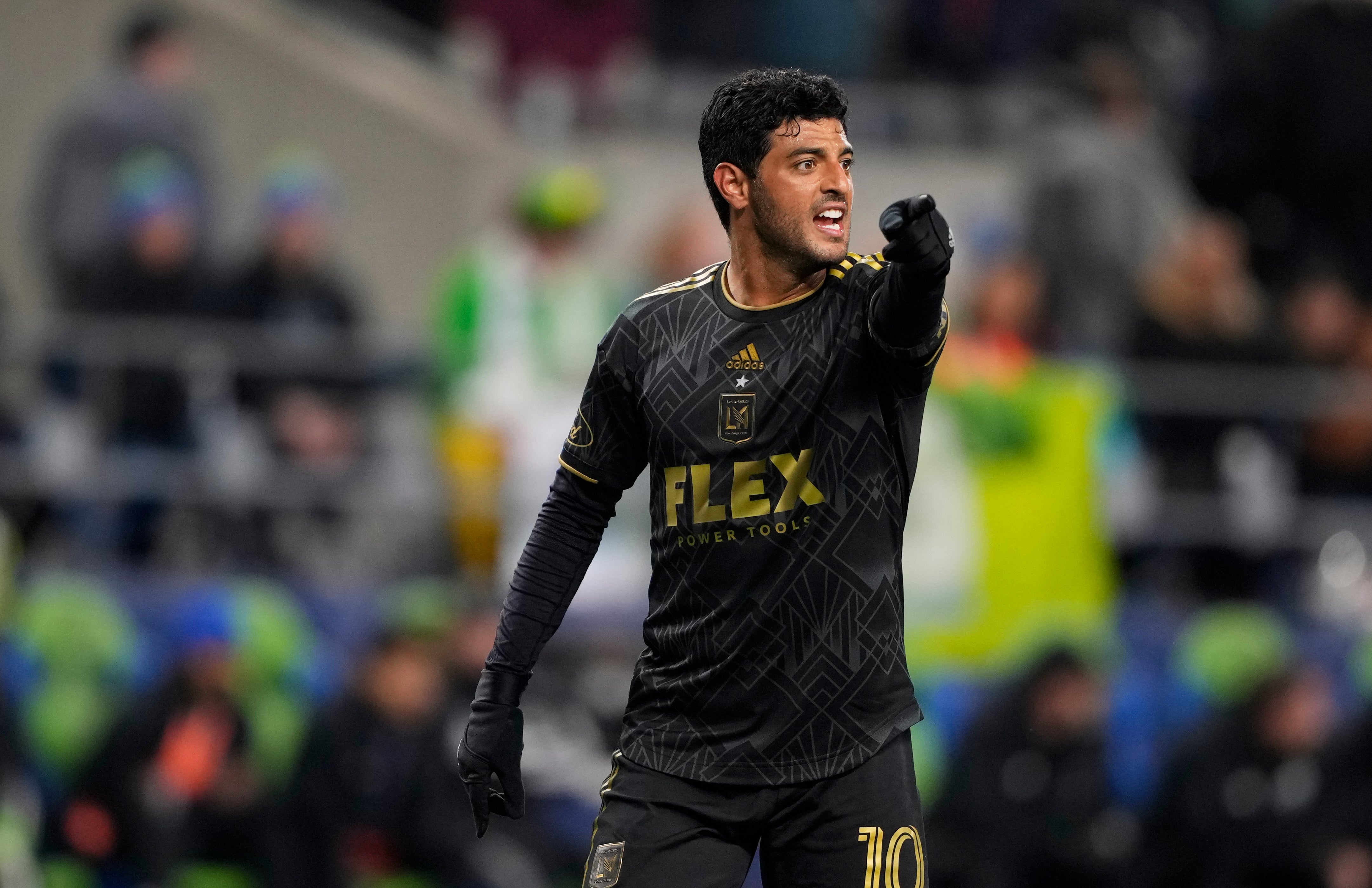 CARLOS VELA