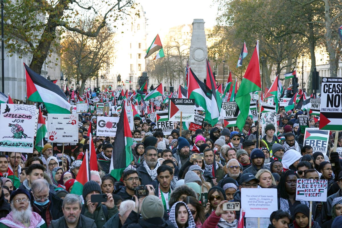 Pro-Palestine protest to be held on Saturday in London – with police ...