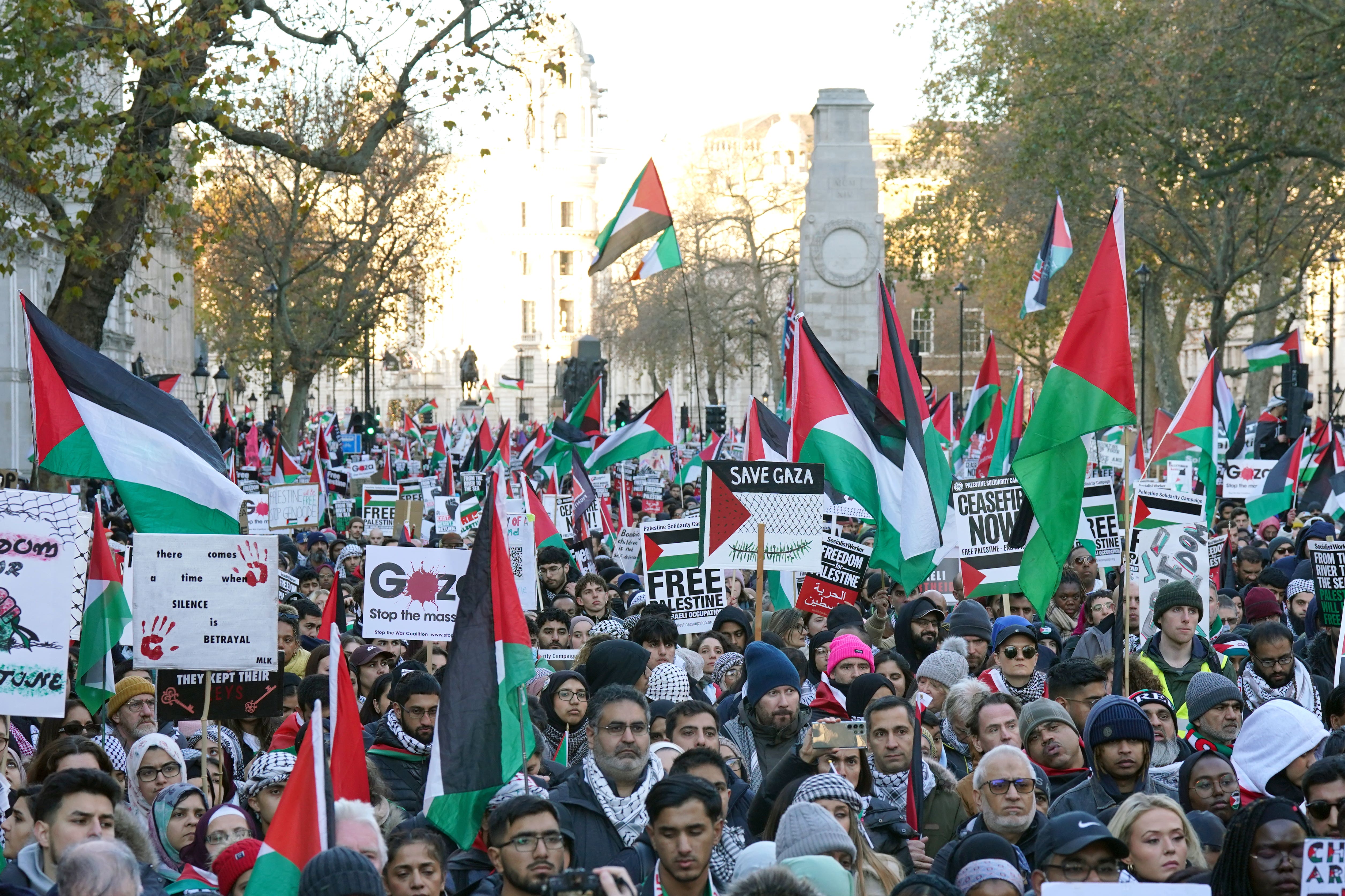 Protestors calling for a ceasefire in Gaza in a march organised by the Palestine Solidarity Campaign and other groups (Lucy North/PA)