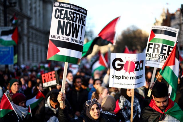 <p>File. Pro-Palestinian activists and supporters wave flags and carry placards during a National March for Palestine in central London on 9 December 2023, calling for full ceasefire in the war in Gaza</p>