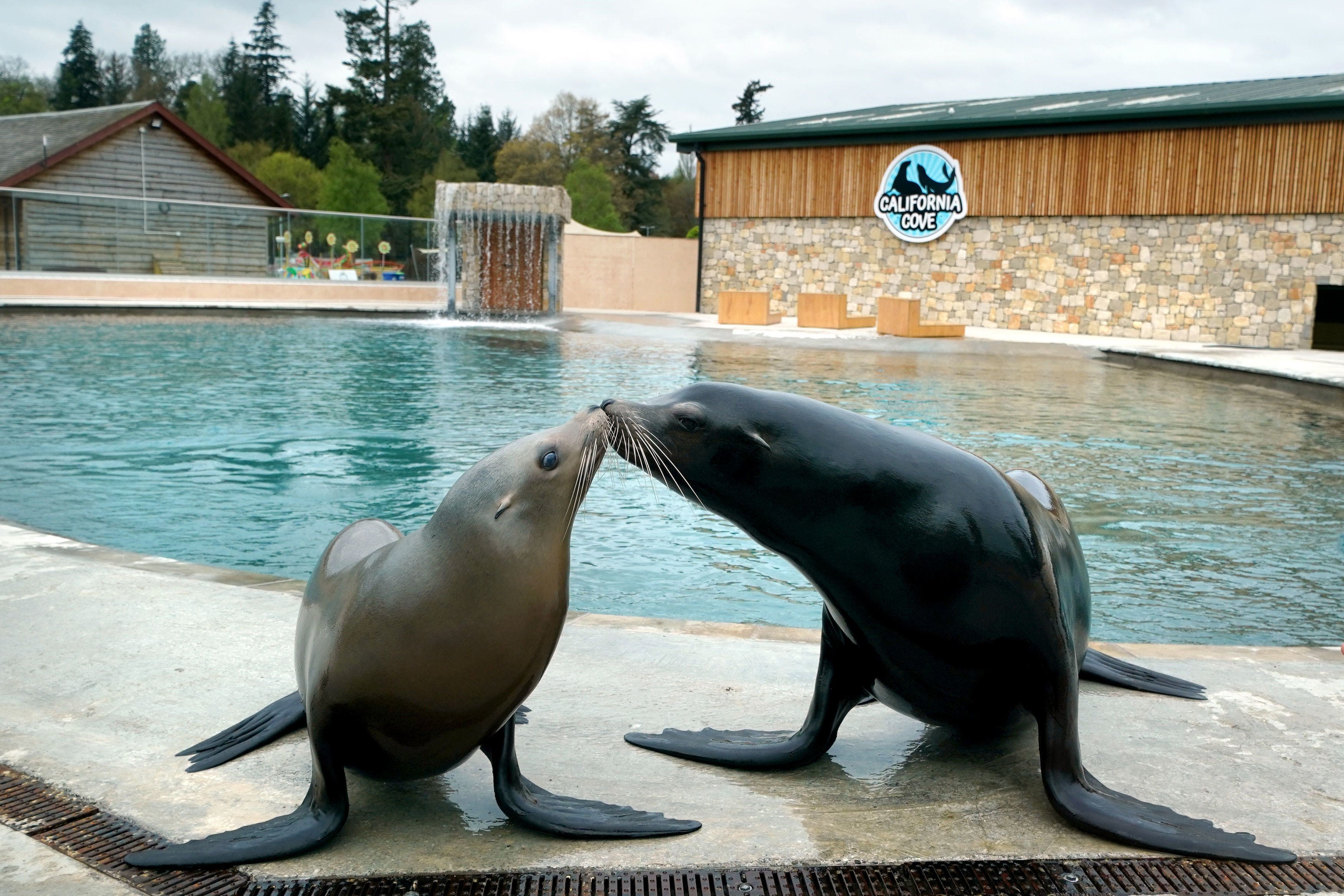 Carnivores in zoos react positively to additional enrichment in their enclosures, according to a new study (Andrew Milligan/PA)