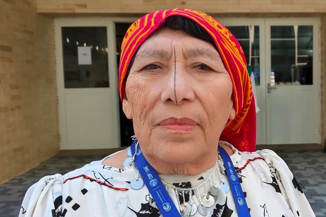 COP28 Climate Indigenous Women