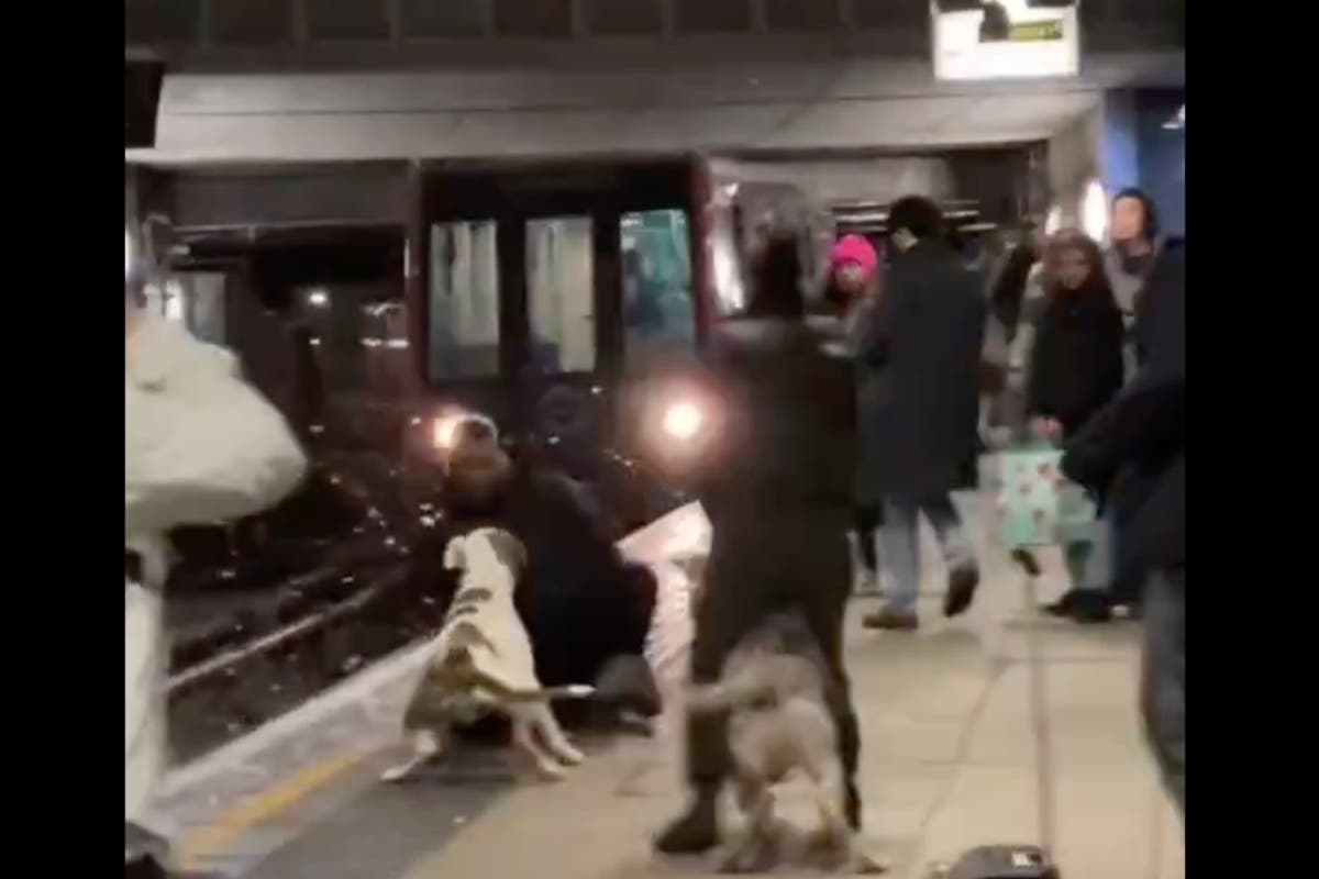 Куче едва не влачи мъж пред влака при жестока атака на гара