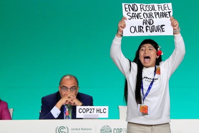 <p>Licypriya Kangujam, an Indigenous climate activist from India, holds a banner about fossil fuels, the key issue at the summit</p>