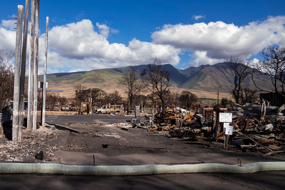 Сърцето на историческата Лахайна на Хаваите, изгорена в горски пожар, отваря отново за жители и собственици на фирми