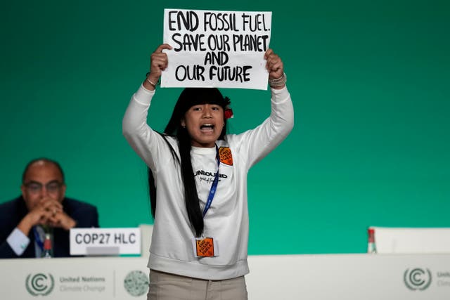 <p>Licypriya Kangujam, 12, protests against the use of fossil fuels during an event at the Cop28 </p>