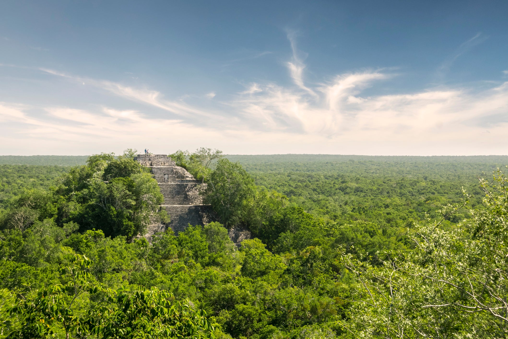 Untamed nature has grown up around many Mayan ruins