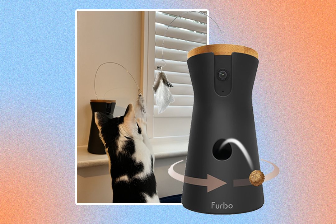 The pet surveillance purchase works with an app, has a toy attachment and can fire out treats