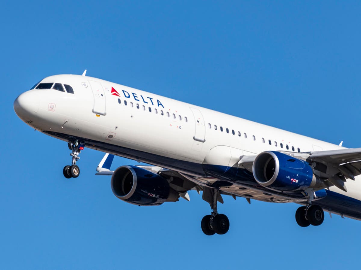 Woman almost removed from Delta Airlines flight after not wearing bra