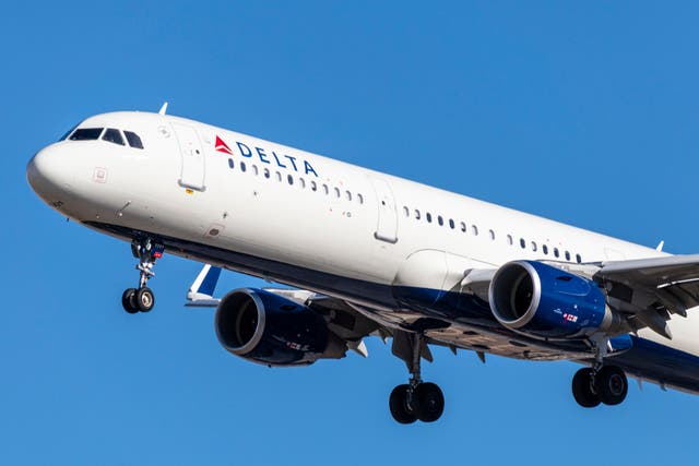 <p>Delta flight forced to turn back after maggots fall on passengers </p>