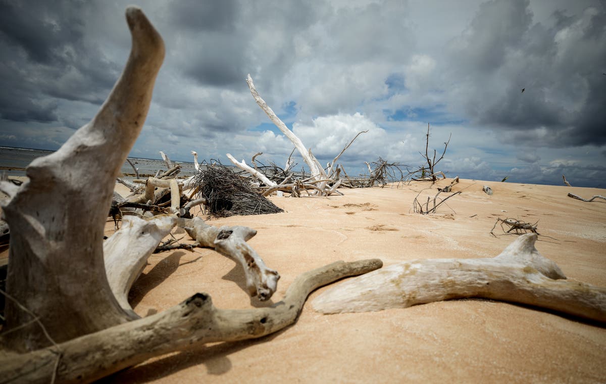 Why Cop28 barely scratches the surface on the cost of climate change