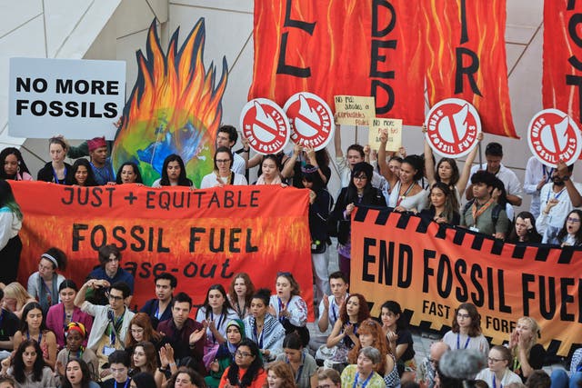 <p>Climate activists protest against fossil fuels during the final stages </p>
