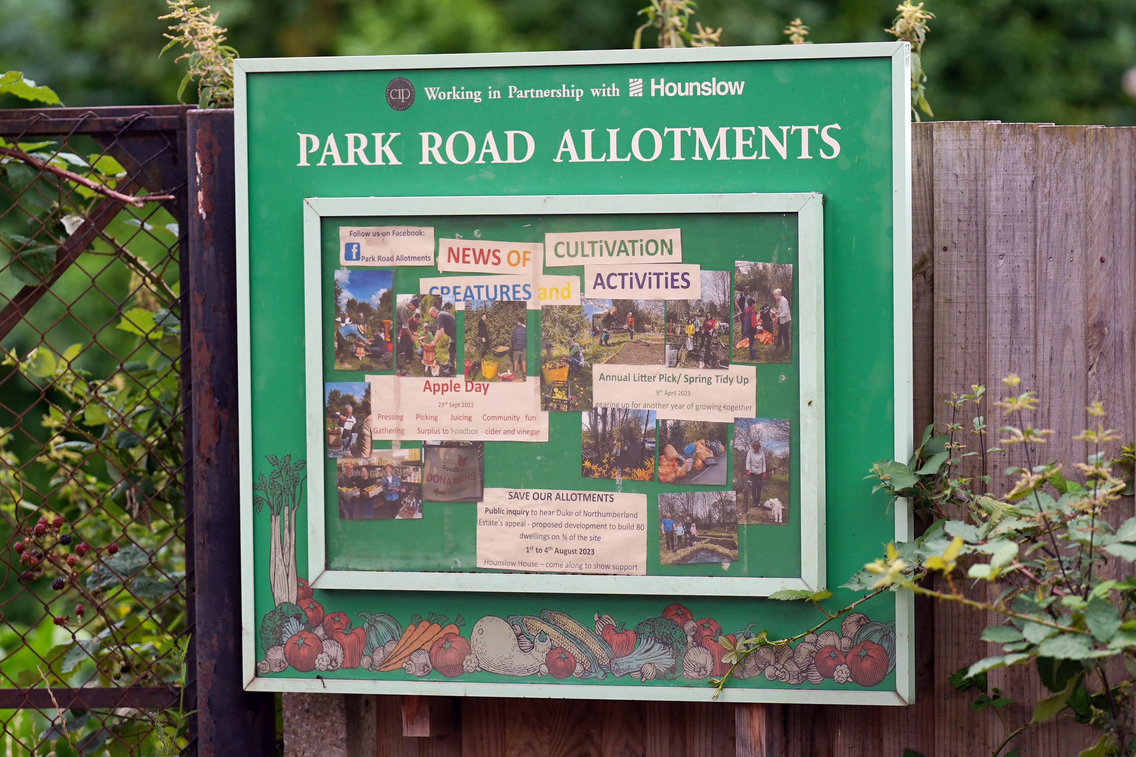 The three-acre site in Isleworth has been used as allotments since the First World War (Yui Mok/PA)