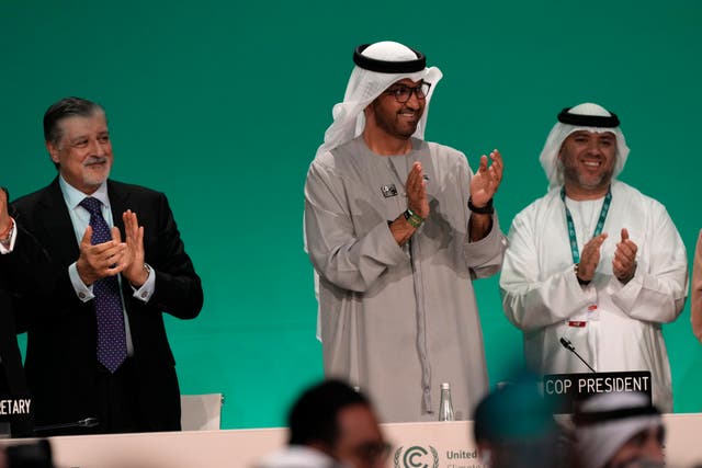 Cop28 President Sultan al-Jaber hailed a ‘historic’ moment (Kamran Jebreili/AP)