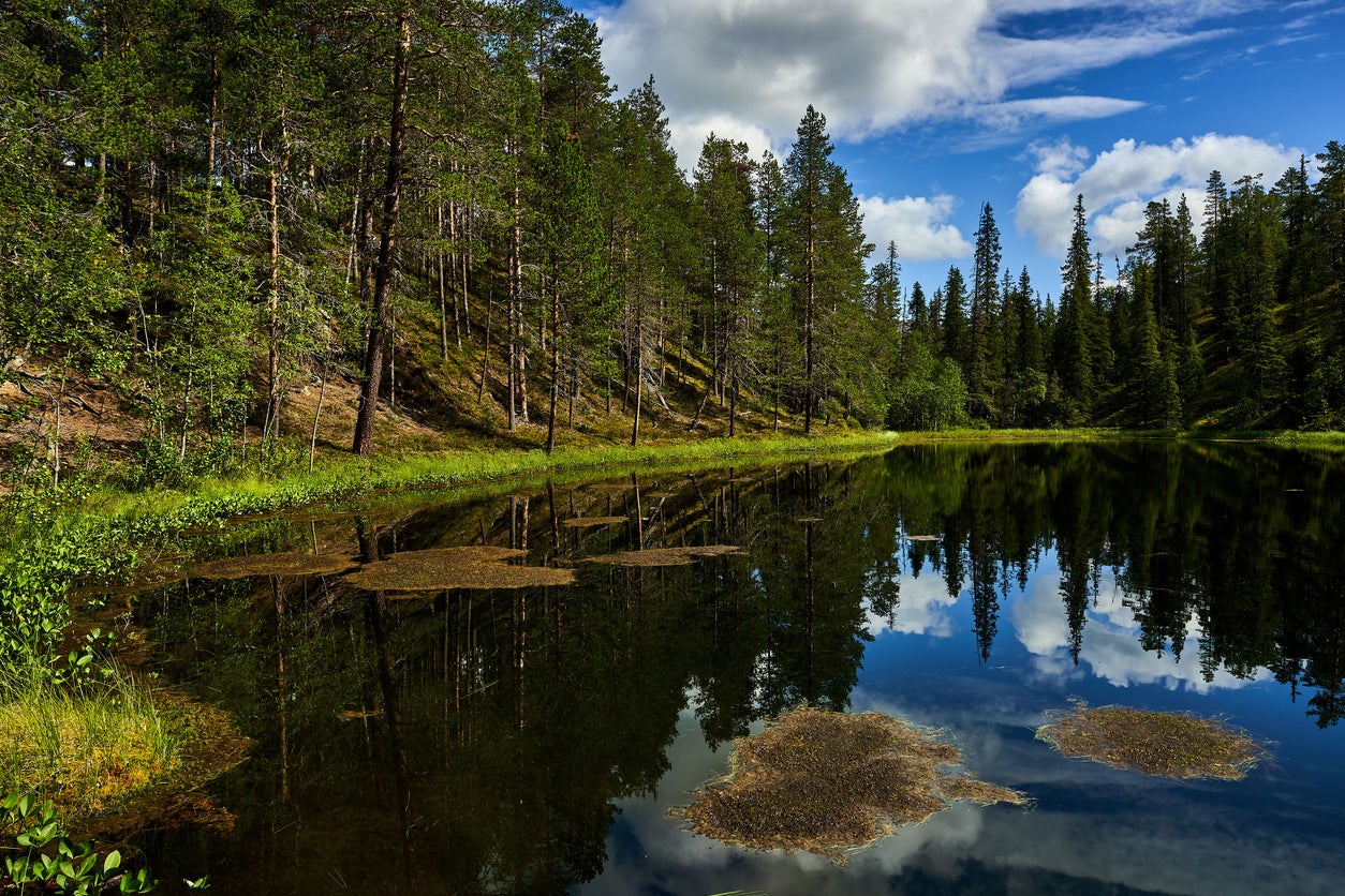 Finland has a total of 41 national parks