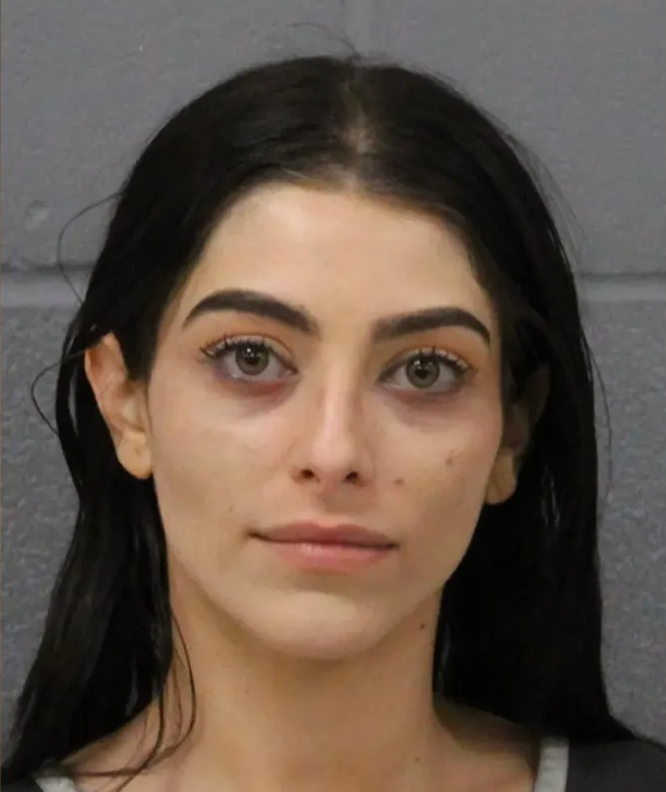 Neusha Alexandra Afkami, 27, is facing charges of unauthorised use of a vehicle