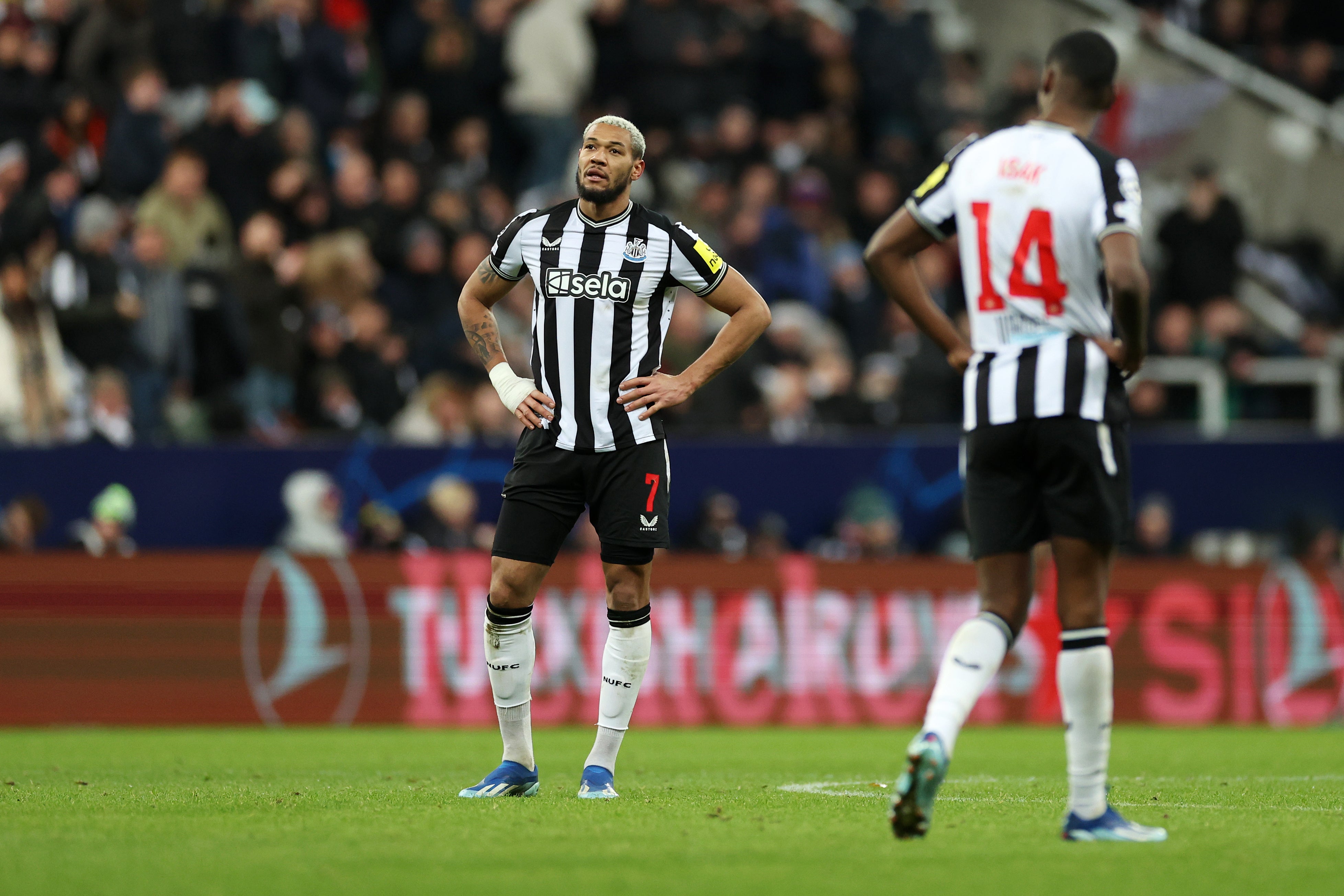 Newcastle saw their European dreams slip away