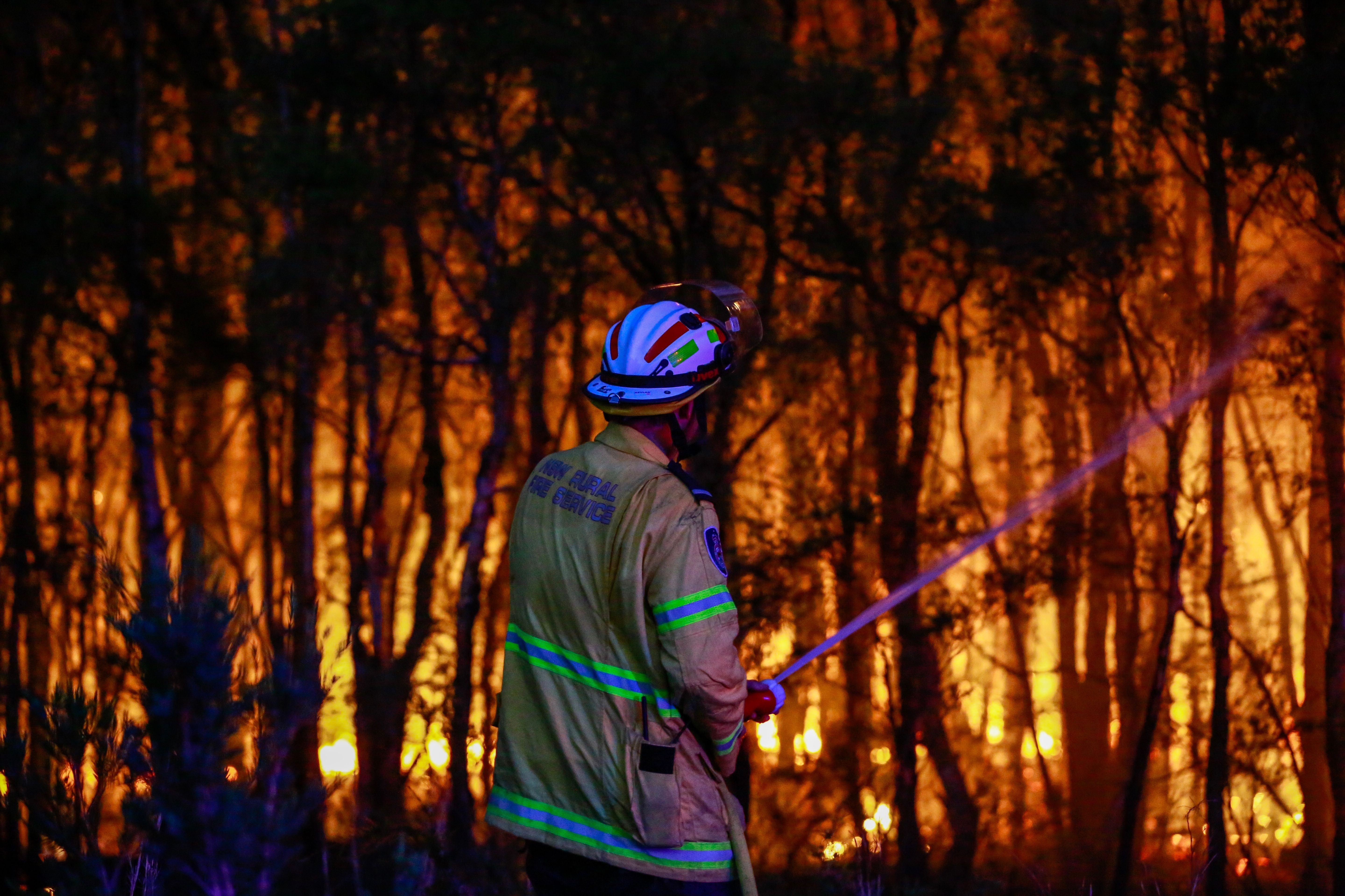 A New South Wales Rural Fire Service firefighter attempts to extinguish a bush fire