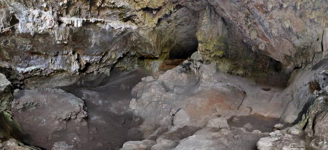 <p>The cave named Cova Bonica, in Vallirana (Barcelona, Spain), where the remains have been found.</p>