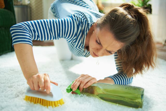 <p>‘I spend a disproportionate amount of time thinking that if everything is clean, everything is OK. Surely this is normal behaviour for a parent with two young children and an unruly dog?’ </p>