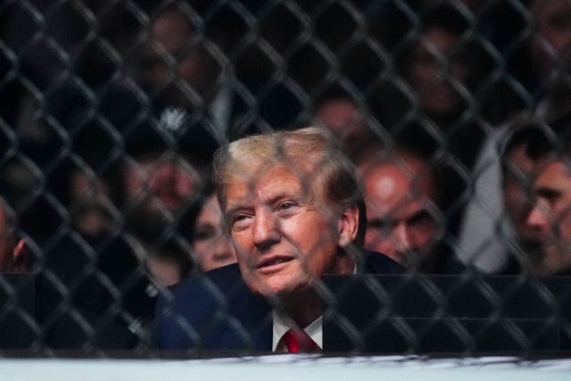 Election 2024 Trump UFC