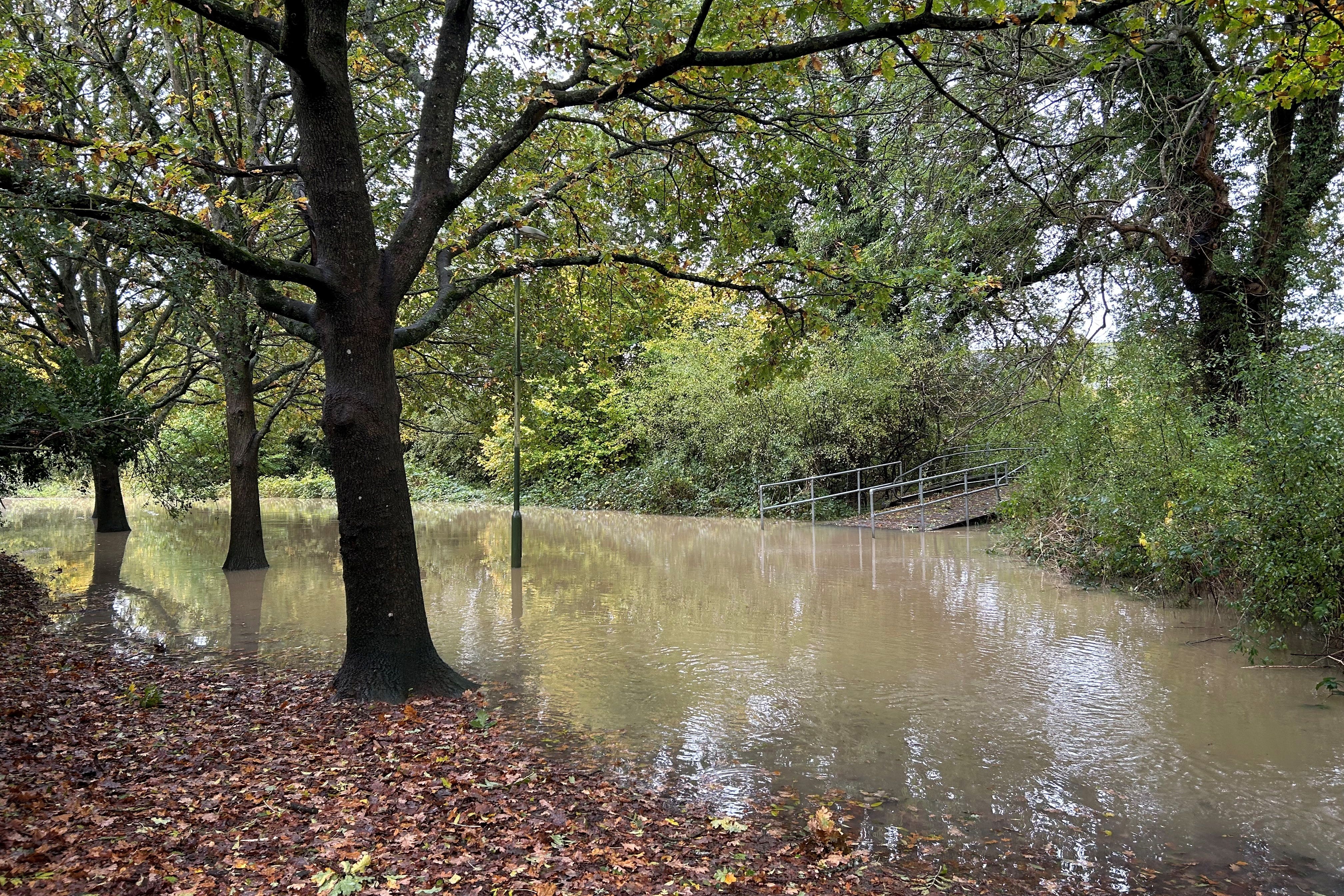 Stock image of a heavily flooded woodland area. (Jane Kirby/PA)
