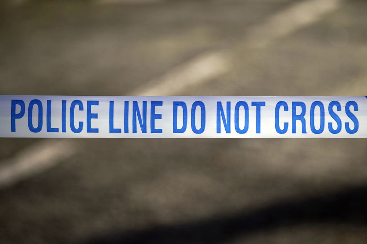 Two arrested after spate of dog attacks leave multiple people injured