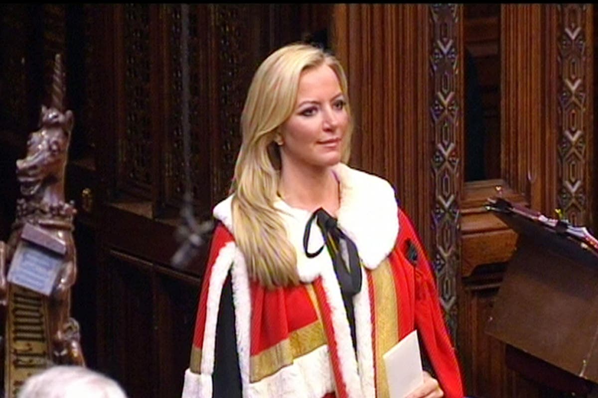 Мишел Моне не трябва да се връща при лордовете след скандала с PPE, казва министър
