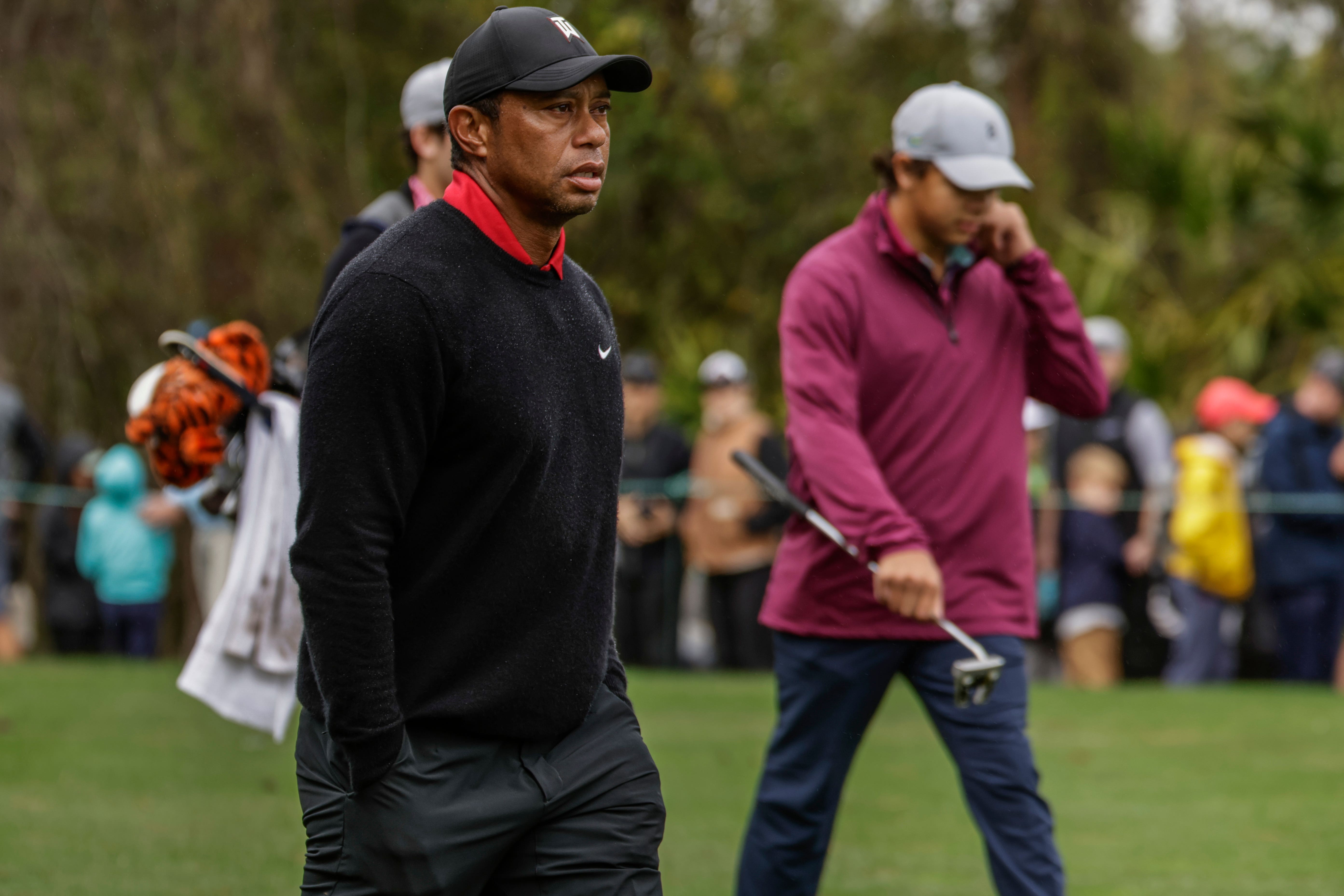 Tiger Woods, left, and son Charlie, right, walk to the green during the final round of the PNC Championship (Kevin Kolczynski/AP)